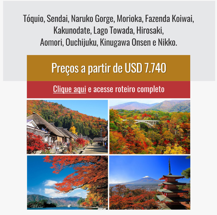 CENTURY TRAVEL - TOUR OPERATOR