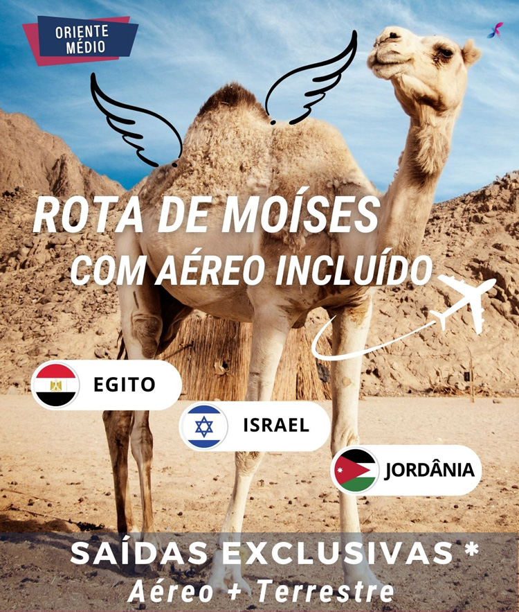CONEXION TRAVEL