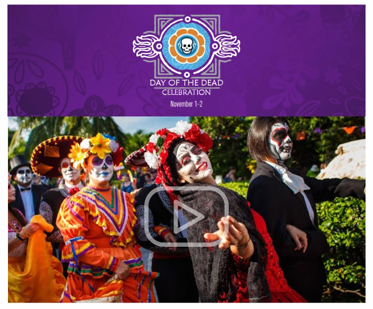 SANDOS HOTELS & RESORTS