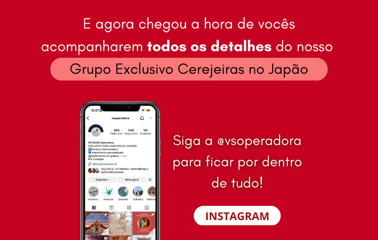 VSTOURS OPERADORA