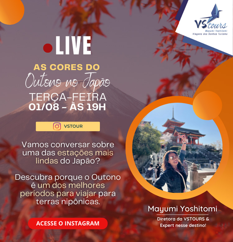 VSTOURS OPERADORA