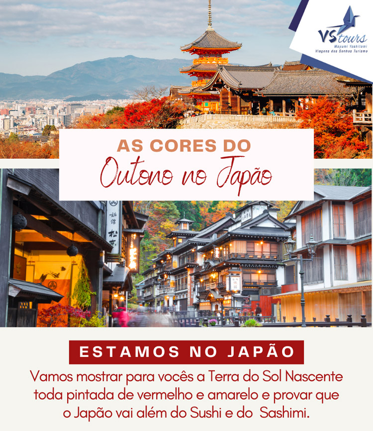 VSTOURS OPERADORA