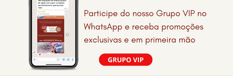 VSTOURS OPERADORA