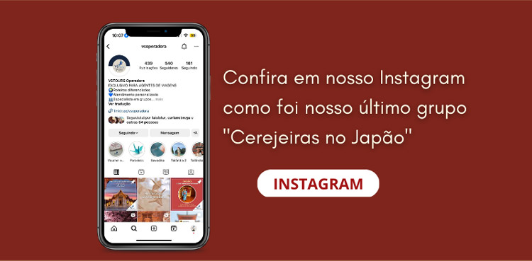 VSTOURS OPERADORA