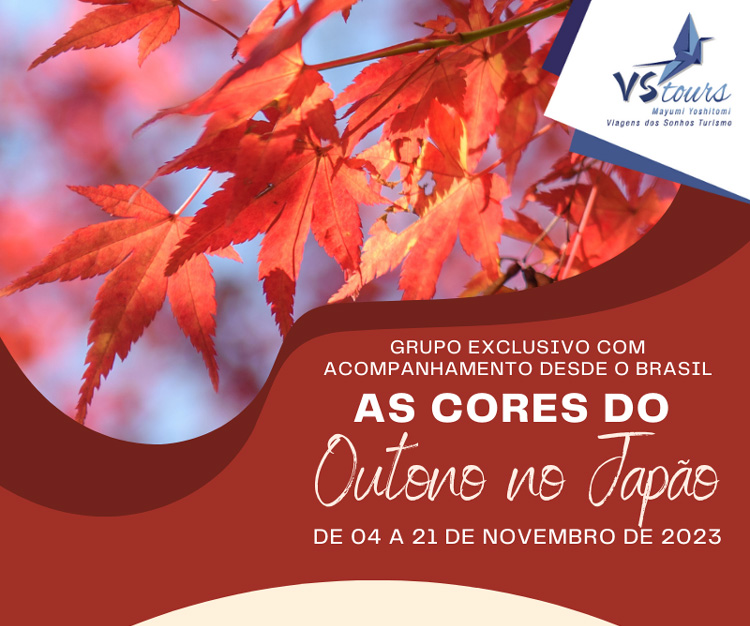 VSTOURS OPERADORA